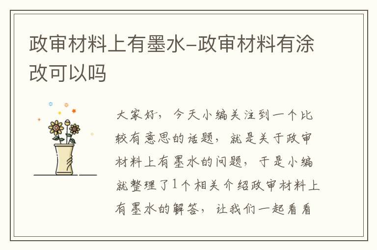 政审材料上有墨水-政审材料有涂改可以吗