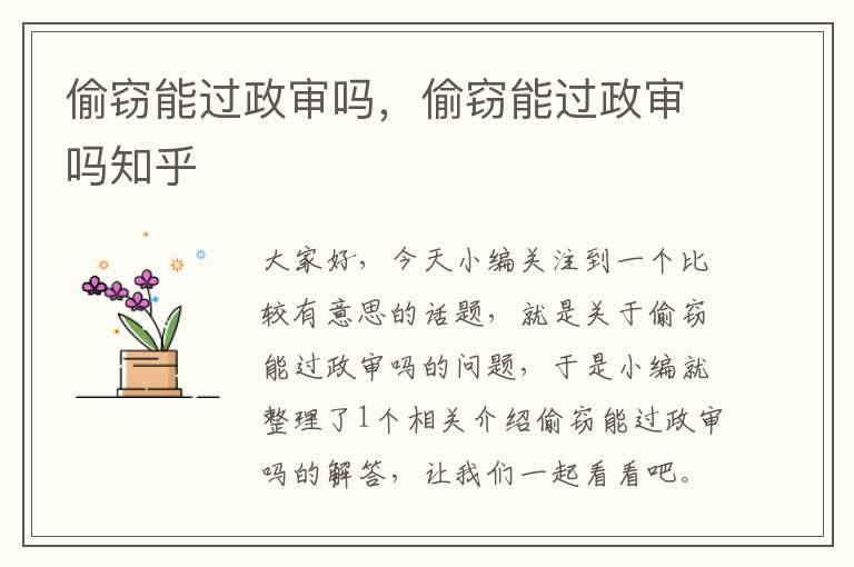 偷窃能过政审吗，偷窃能过政审吗知乎