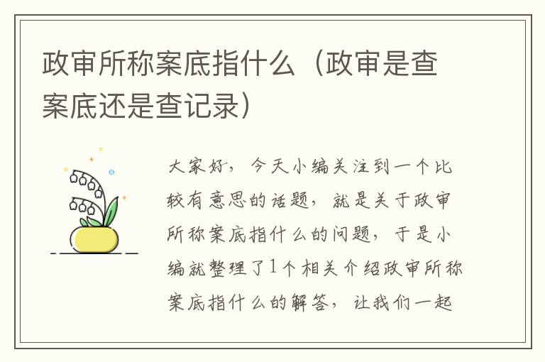 政审所称案底指什么（政审是查案底还是查记录）