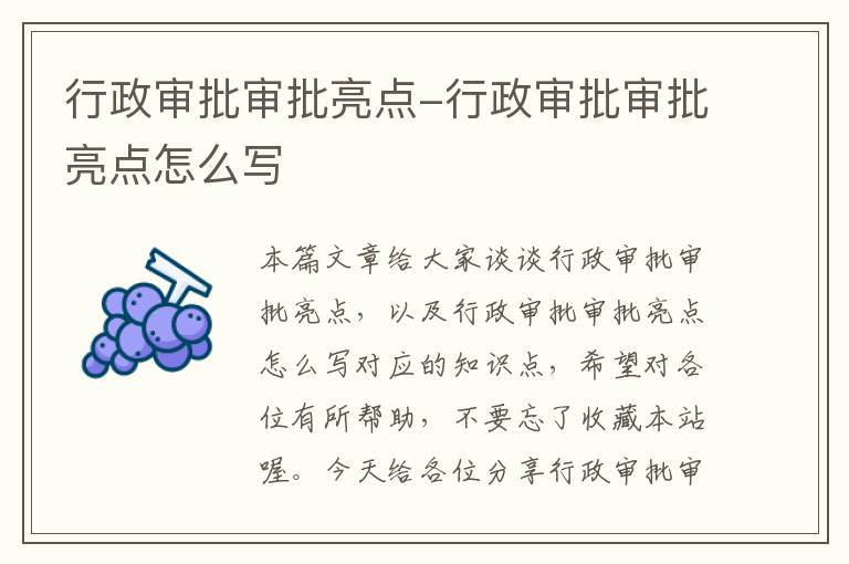 行政审批审批亮点-行政审批审批亮点怎么写