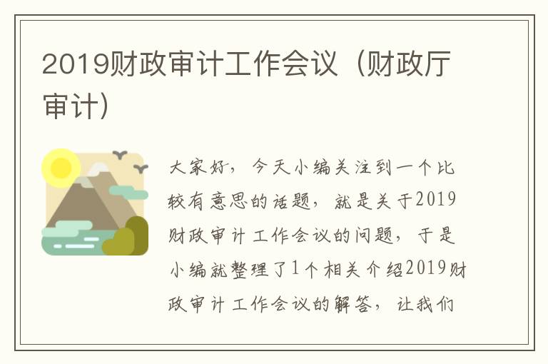 2019财政审计工作会议（财政厅审计）