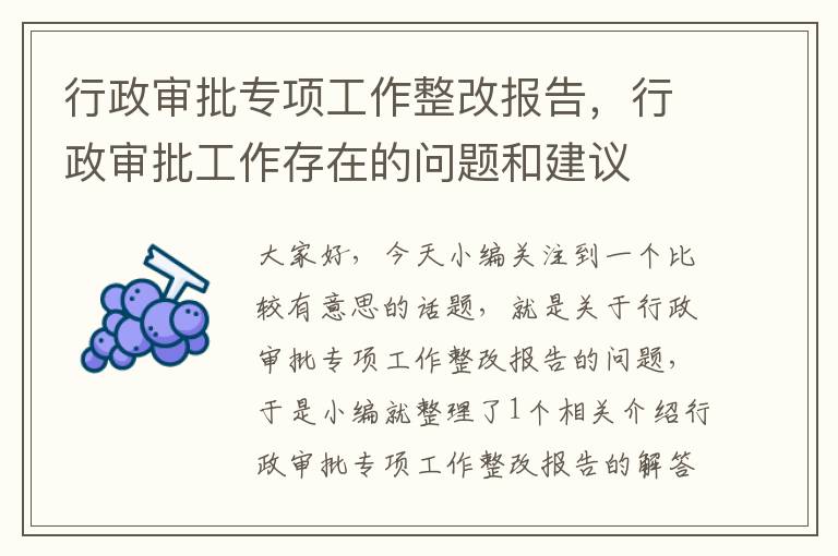 行政审批专项工作整改报告，行政审批工作存在的问题和建议