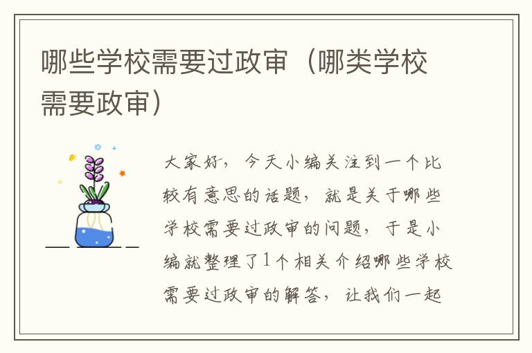 哪些学校需要过政审（哪类学校需要政审）