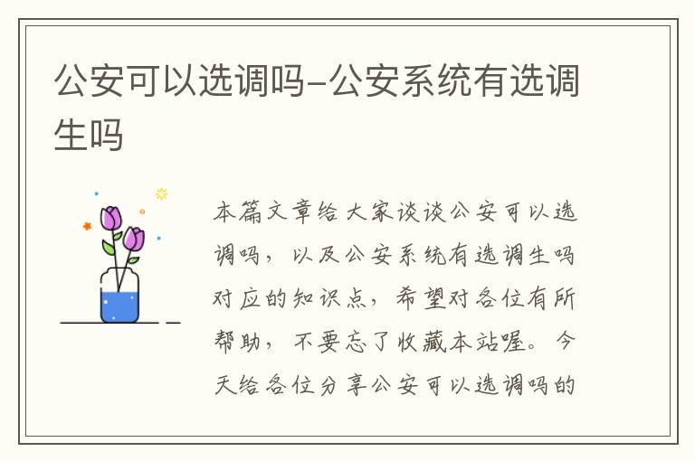 公安可以选调吗-公安系统有选调生吗