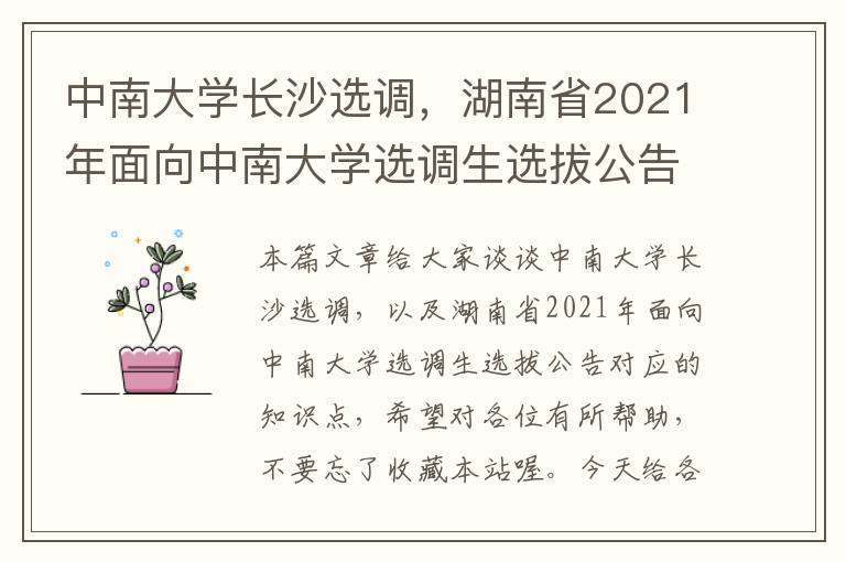 中南大学长沙选调，湖南省2021年面向中南大学选调生选拔公告